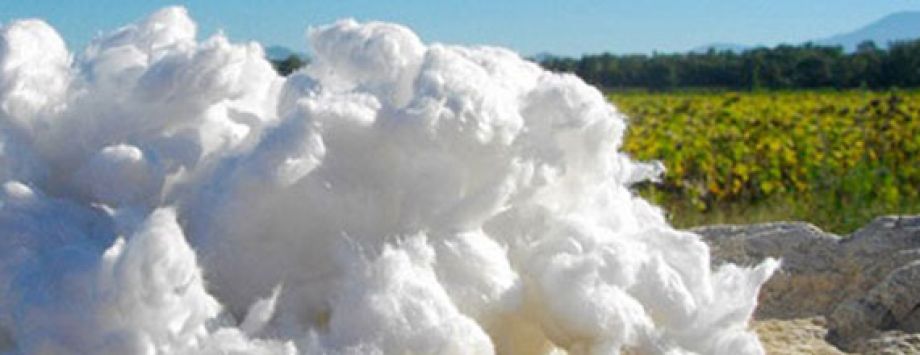 Isolation ecologique à Dijon