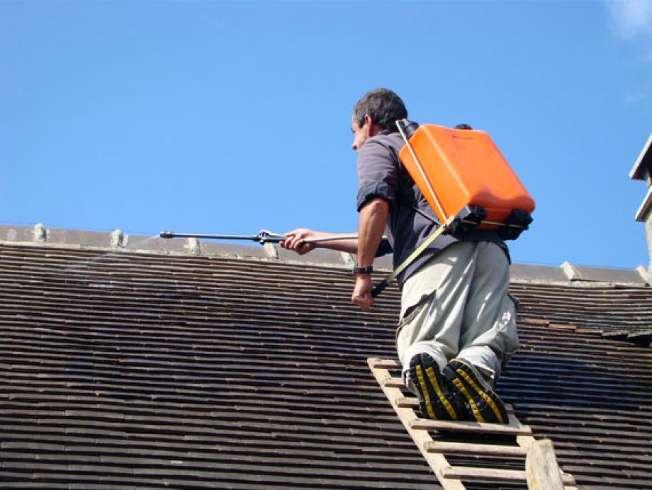 Renovation de toiture à Nantes