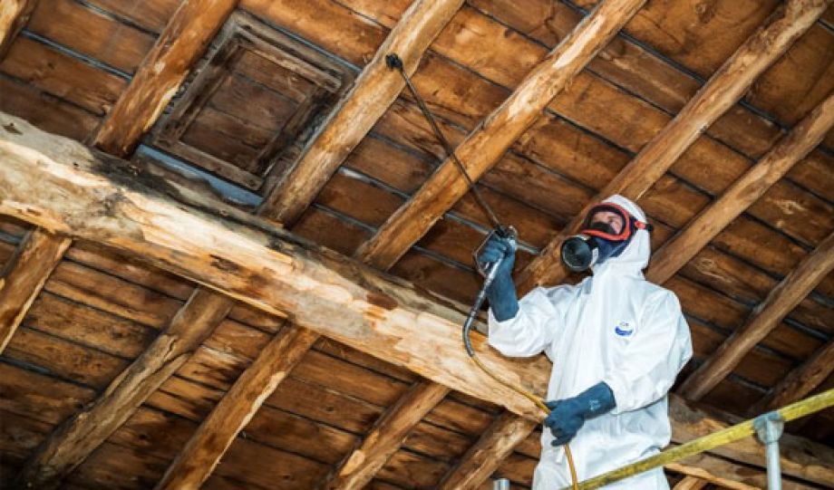 Traitement de charpente à Dijon