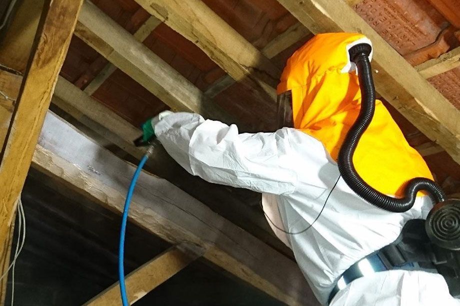 Traitement du bois de charpente en Loire-Atlantique