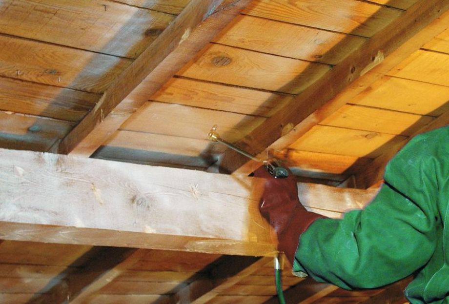 Traitement du bois à Dijon