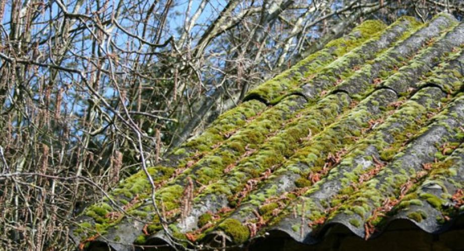 Des tuiles abimées dans le Pas-de-Calais