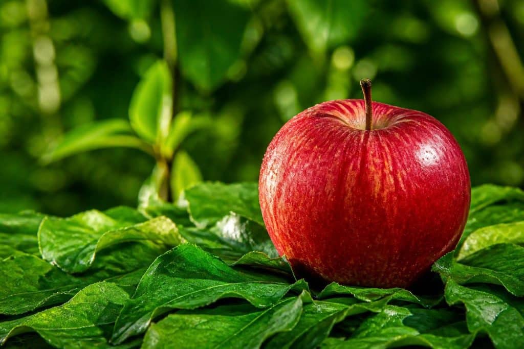 découvrez quelle est la couleur complémentaire du rouge et apprenez à l’utiliser efficacement pour créer des designs équilibrés et harmonieux.