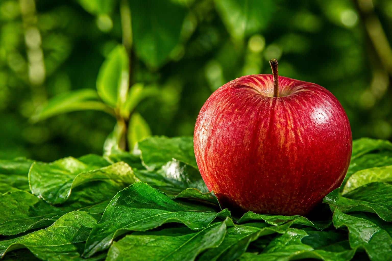 découvrez quelle est la couleur complémentaire du rouge et apprenez à l’utiliser efficacement pour créer des designs équilibrés et harmonieux.