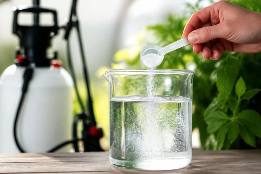 découvrez comment doser efficacement le glyphosate pour 1 litre d'eau afin d'optimiser son utilisation tout en garantissant la sécurité et l'efficacité du traitement.