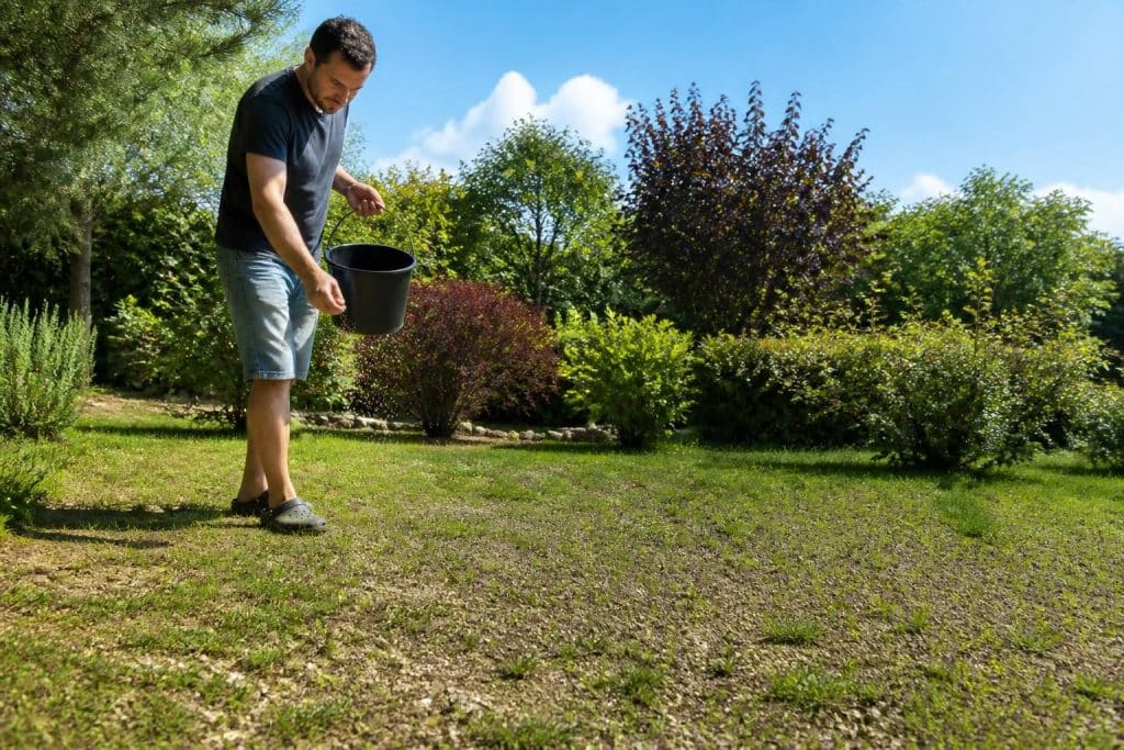 découvrez une méthode facile et efficace pour semer votre pelouse sans retourner la terre, idéale pour un gazon dense et harmonieux en un minimum d'effort.